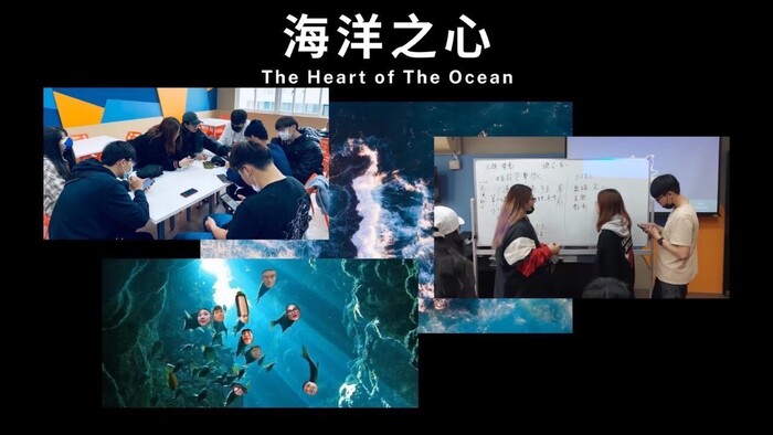 海洋之心。圖片